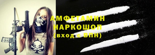 молекула духа Богородицк