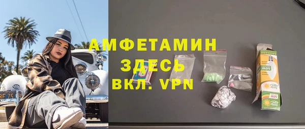 молекула духа Богородицк