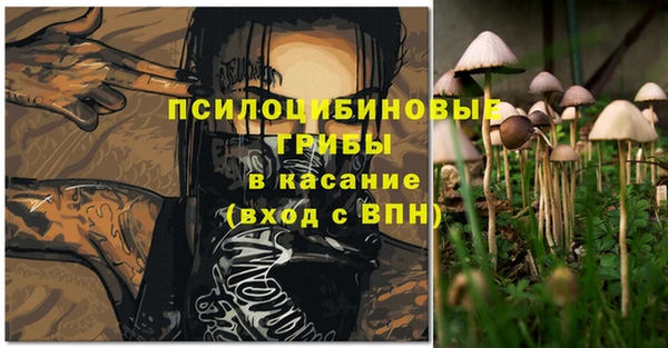 бутират Богданович