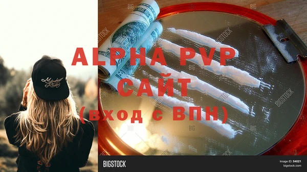 молекула духа Богородицк