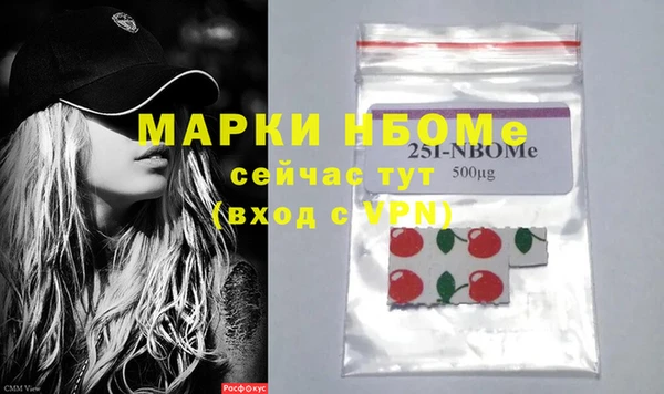 молекула духа Богородицк