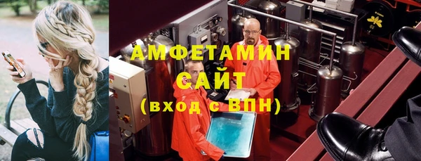 молекула духа Богородицк
