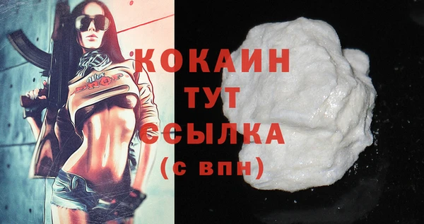 молекула духа Богородицк