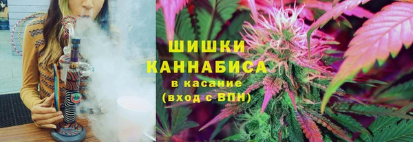 бутират Богданович